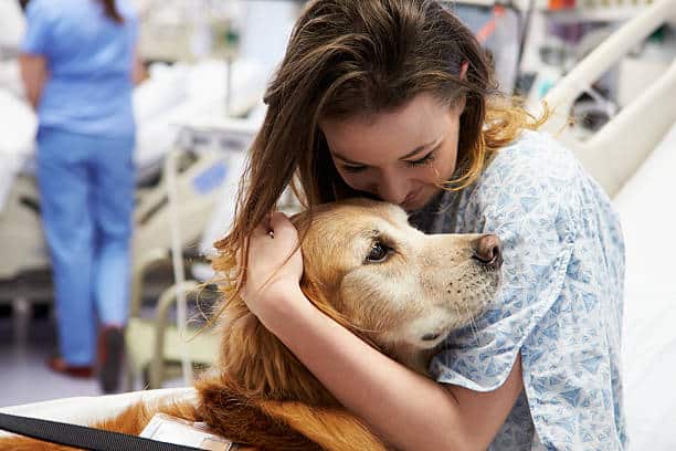 Therapy Dog Visiting Young Happy Female Patient In Hospital